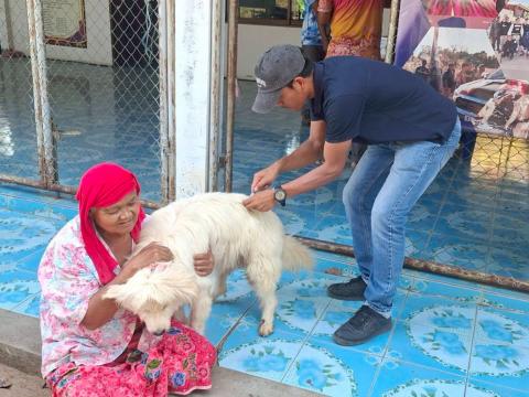 ฉีดวัคซีนป้องกันโรคพิษสุนัขบ้า 26 มีนาคม 2569