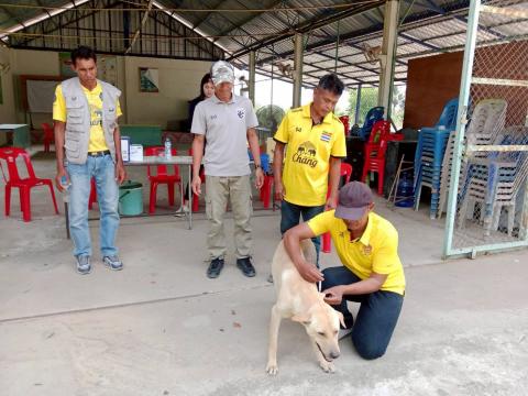 ฉีดวัคซีนป้องกันโรคพิษสุนัขบ้า 26 มีนาคม 2569