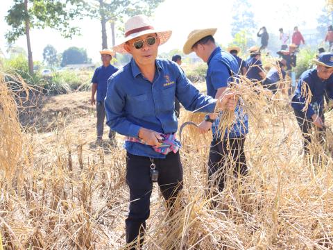 กิจกรรมเทิดพระเกียรติพระบิดาแห่งการวิจัยและพัฒนาข้าวไทย 2567