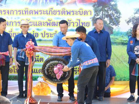 กิจกรรมเทิดพระเกียรติพระบิดาแห่งการวิจัยและพัฒนาข้าวไทย 2567